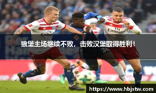 狼堡主场继续不败，击败汉堡取得胜利！