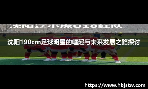 沈阳190cm足球明星的崛起与未来发展之路探讨