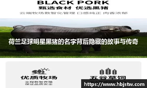荷兰足球明星黑猪的名字背后隐藏的故事与传奇