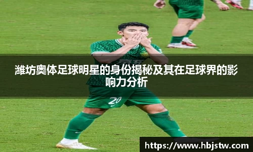 潍坊奥体足球明星的身份揭秘及其在足球界的影响力分析